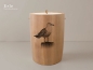 Preview: Möwe